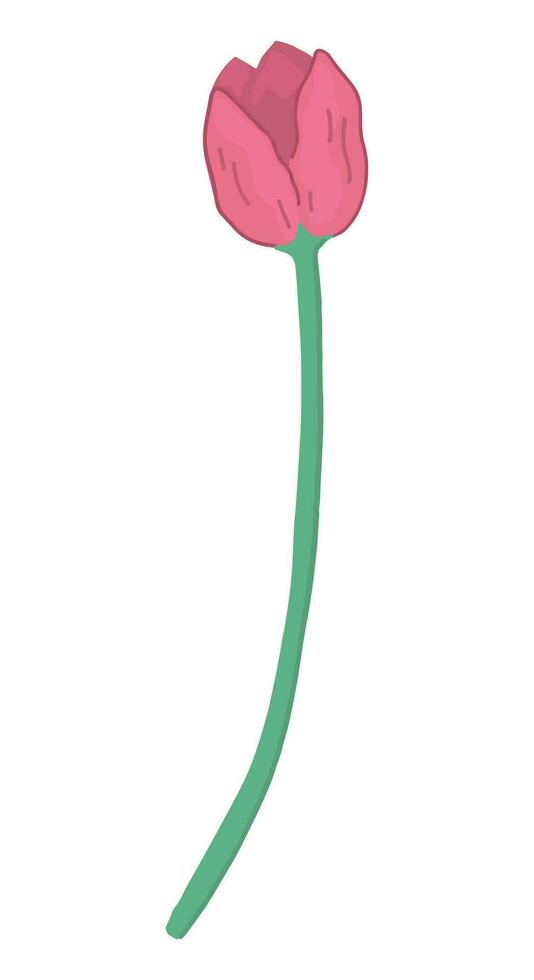 Tulip doodle. Spring time flower clipart. Cartoon vector illustration isolated on white background.