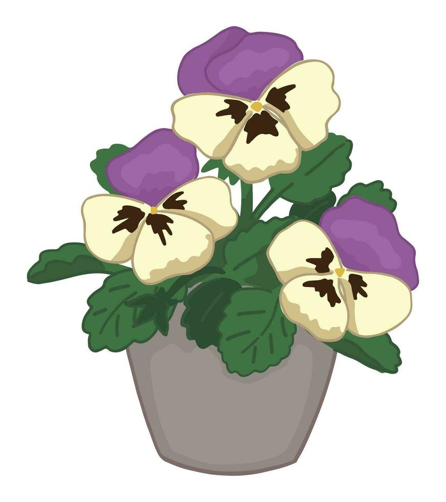 Doodle of pansies in a pot. Spring time flower clipart. Cartoon vector illustration isolated on white background.