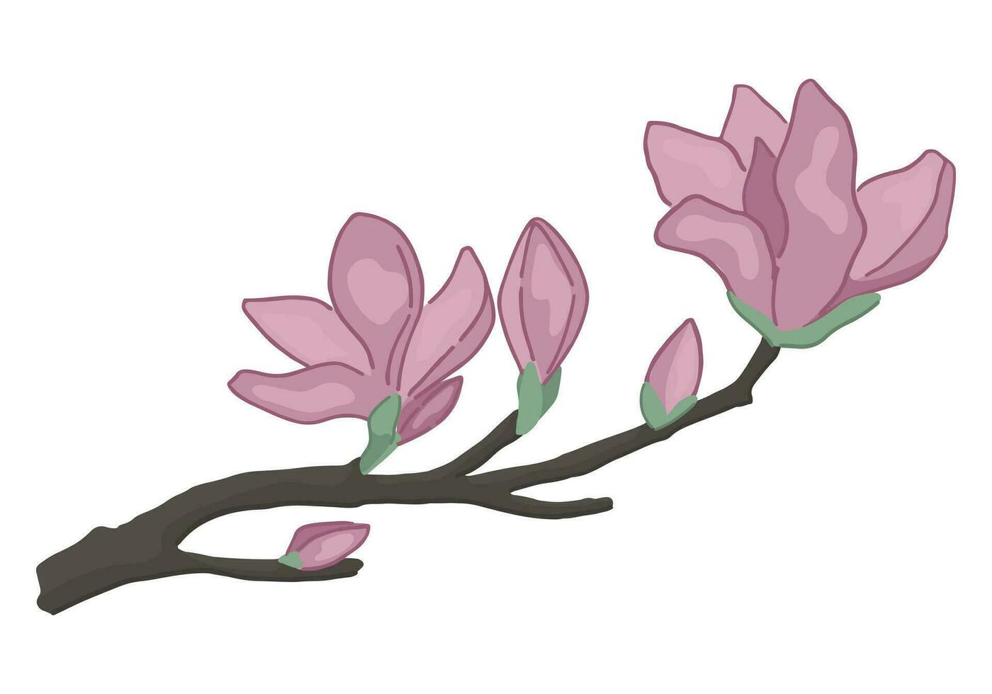 Magnolia blooming twig doodle. Spring time tree branch clipart. Cartoon vector illustration isolated on white background.