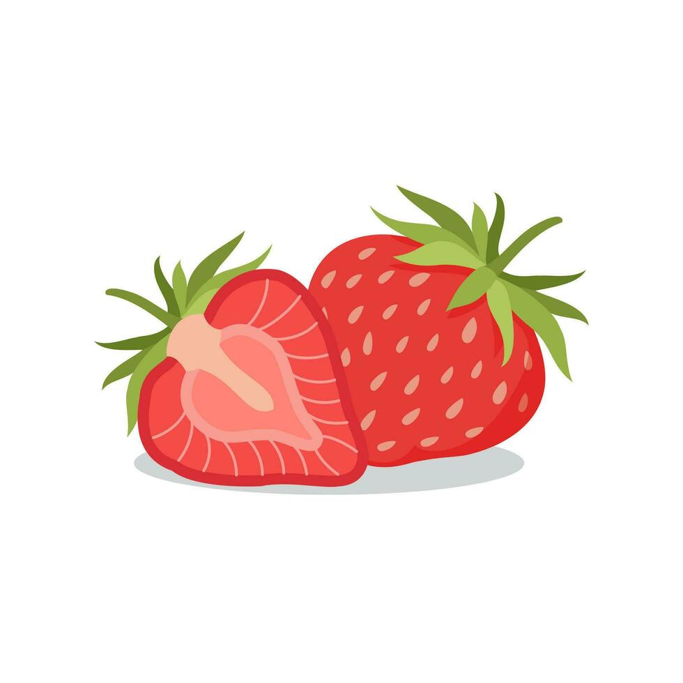 Strawberry and slices of strawberries. for decorative poster, emblem natural product, farmers market. Website page and mobile app design. Vector Flat illustration isolated on white background.