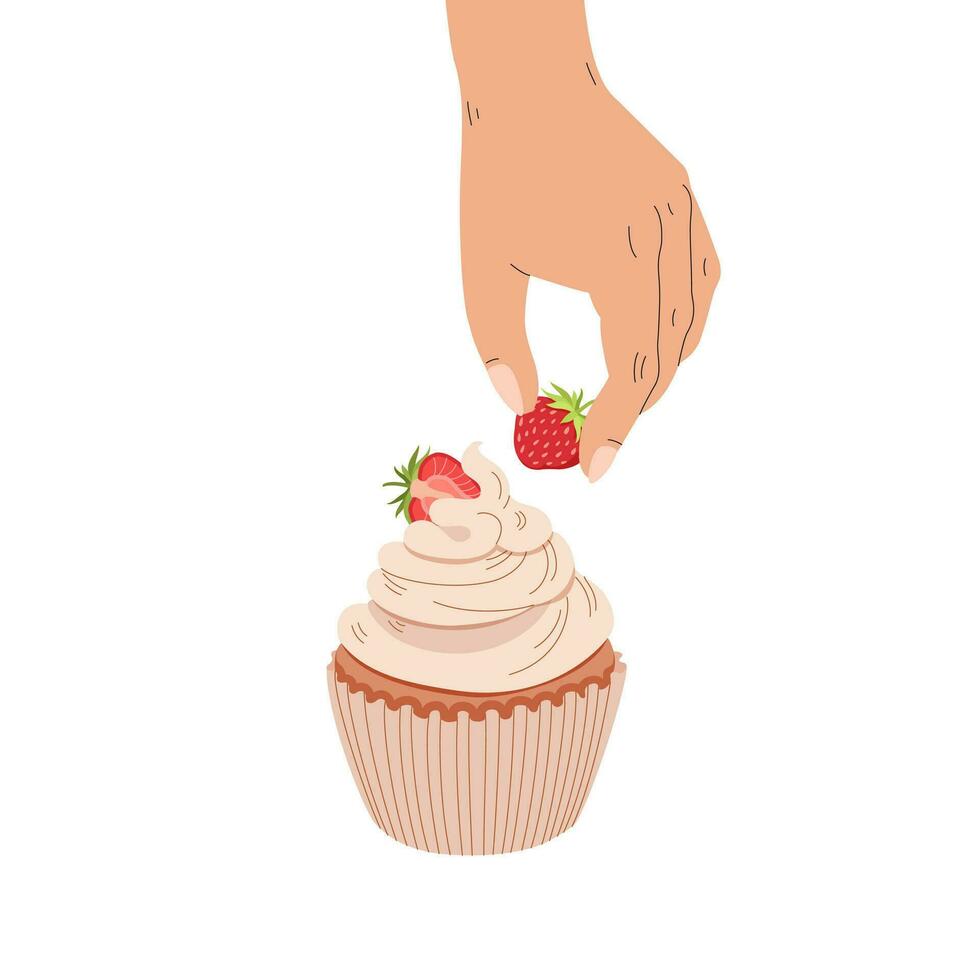 Process of making cupcake. Decorating muffin with strawberries. Sweet pastries for pastry shop. Women hands. Recipe for handmade dessert. Festive birthday treat. Vector flat illustration.