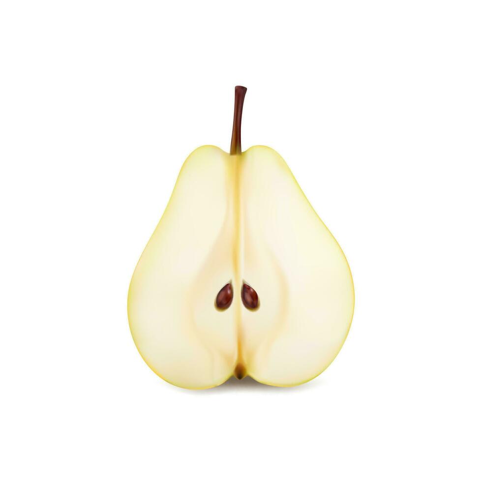 Realistic ripe raw yellow pear fruit isolated half vector