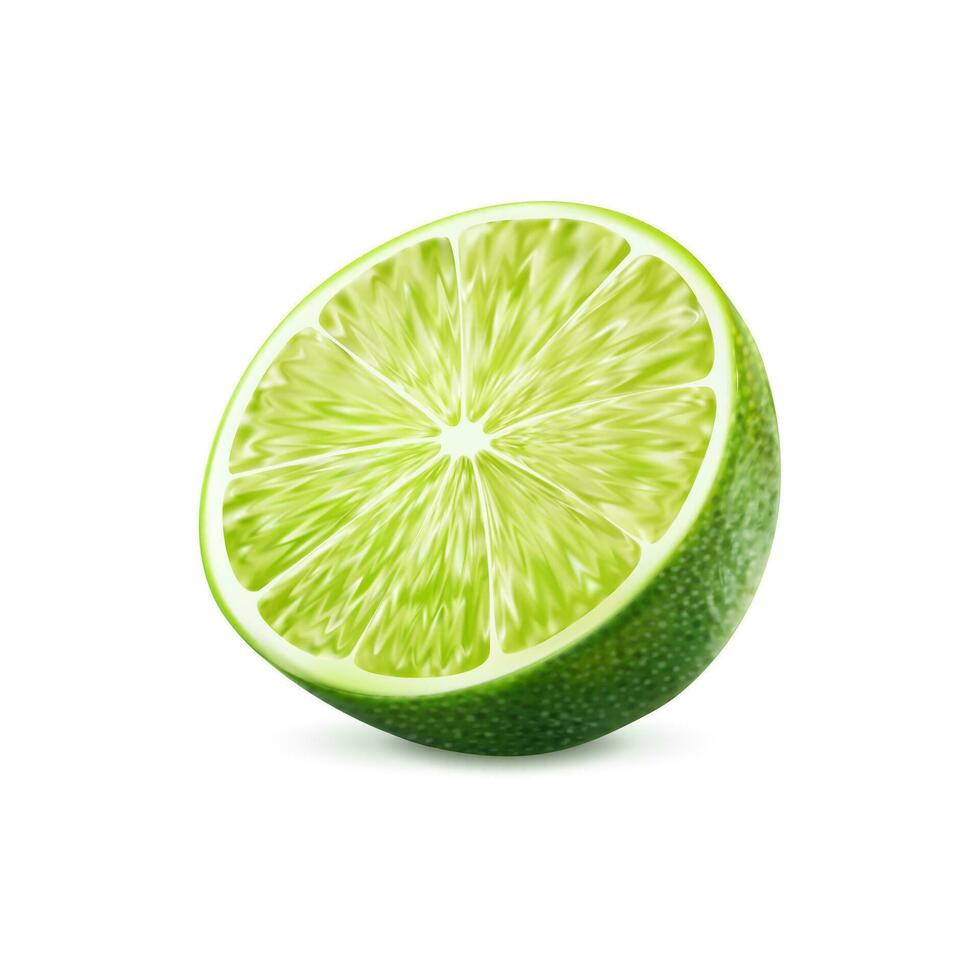 Realistic green ripe raw lime fruit, isolated half vector