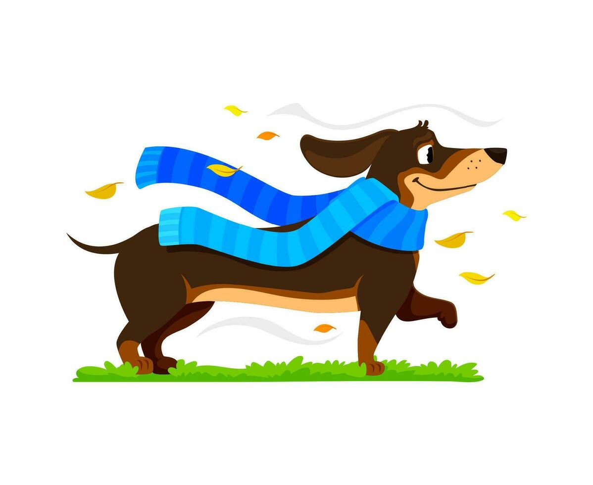 Cartoon dachshund dog puppy character in scarf vector