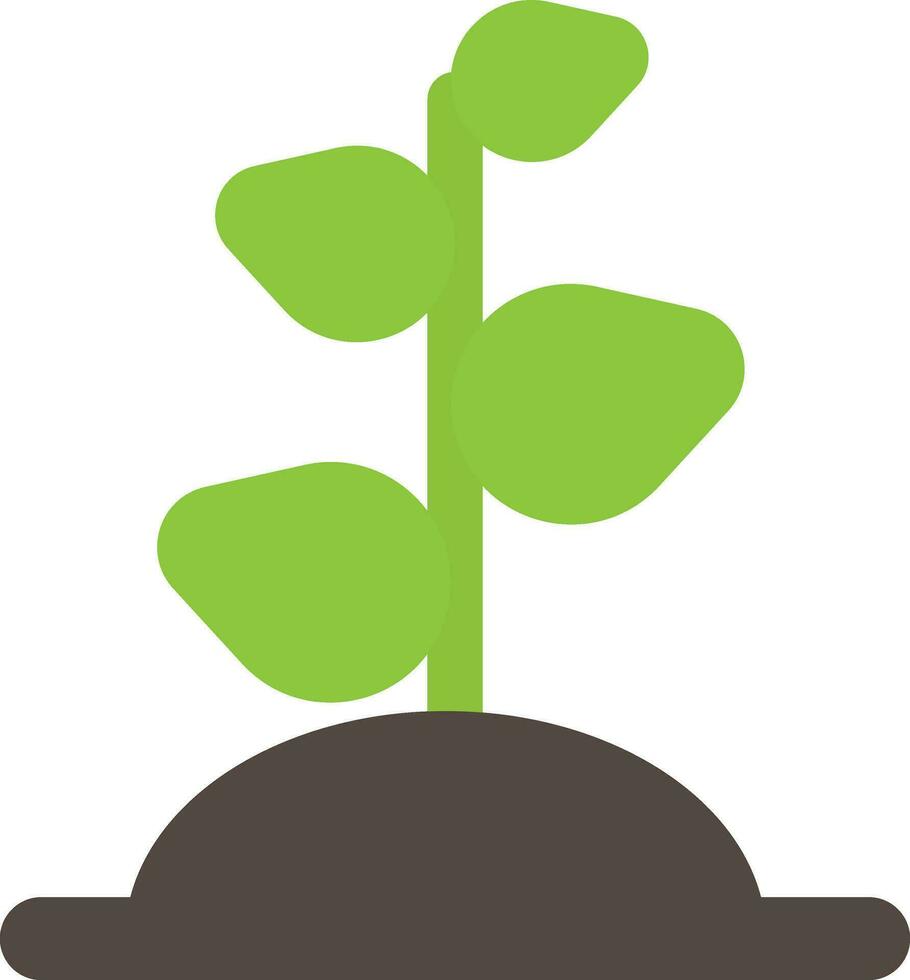 brote planta ecología vector