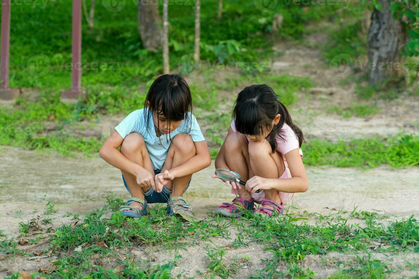 dos linda pequeño muchachas utilizar un aumentador vaso a Mira y aprender acerca de el escarabajos en el césped en el jardín. niños Mira a insectos mediante un aumentador vaso. foto