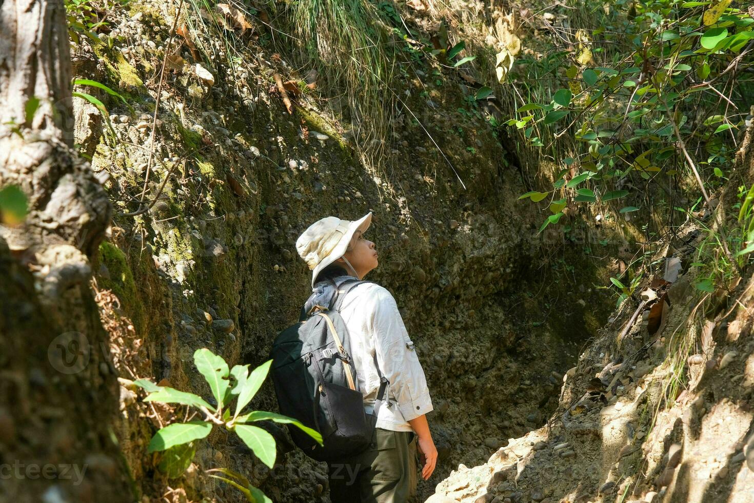 Female geologist with backpack exploring nature trail in forest and analyzing rock or gravel. Researchers collect samples of biological materials. Environmental and ecology research. photo
