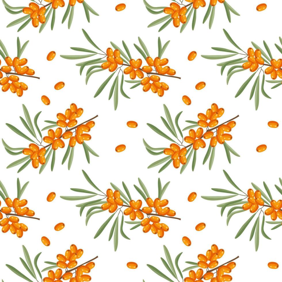 Seamless pattern, sea buckthorn branches and sea buckthorn berries on a white background. Print, background, vector