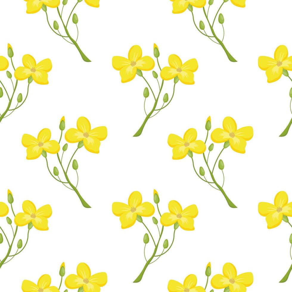 Seamless pattern, twigs with yellow mustard flowers on a white background. Print, background, vector