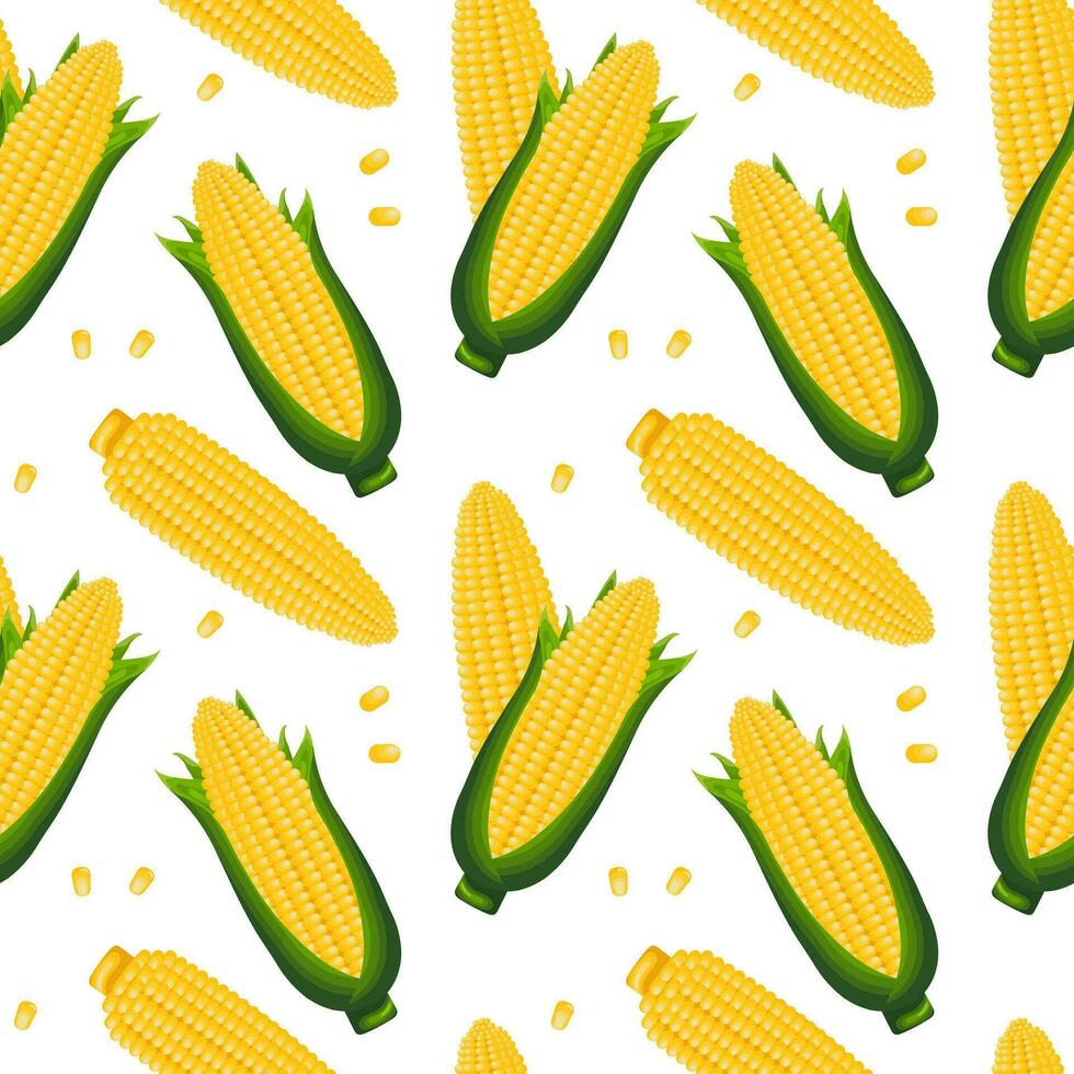 Seamless pattern, corn on the cob with leaves and corn kernels. Agriculture concept. Background, print, textile, vector