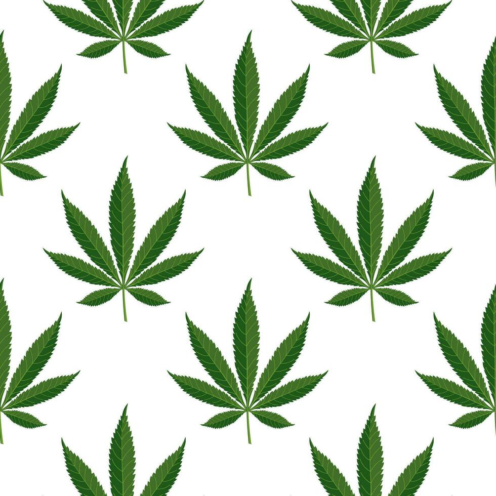 Seamless pattern of hemp leaves. Background of cannabis leaves on a white background. Print, vector