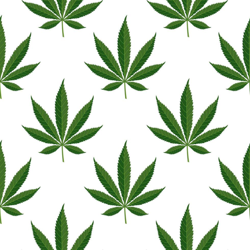 Seamless pattern of hemp leaves. Background of cannabis leaves on a white background. Print, vector