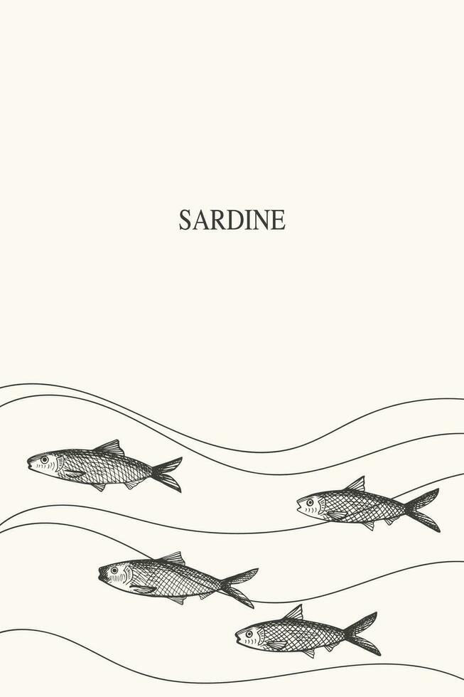 Sardine fish frame label background for text hand drawn  border.Template with pichard seafood with small fish. Vector backdrop illustration with sardines for print, packaging, logo, card, flyer