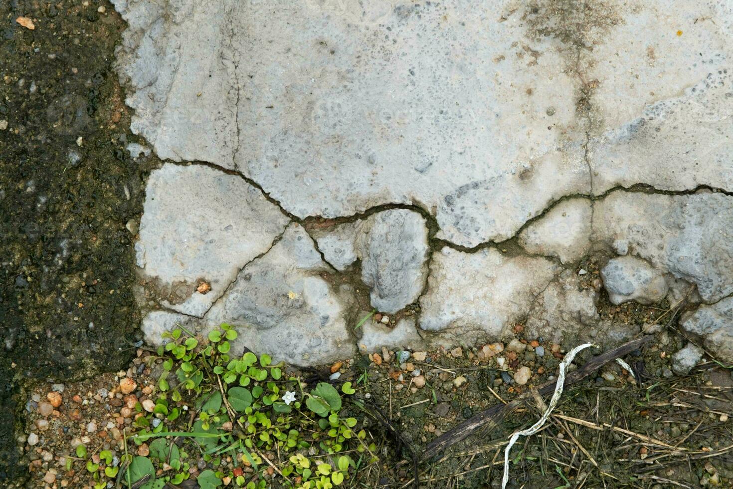 grunge cemento hormigón paredes o pisos con grieta. resumen antecedentes de grieta hormigón pared. agrietado hormigón textura de cerca antecedentes. foto