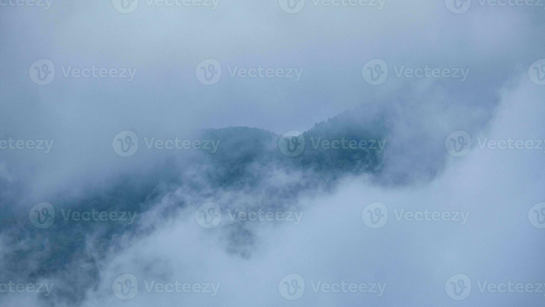 Aerial view of tropical forest with mist in the morning. Top view from drone of beautiful mountain tropical forest during winter in Thailand. Natural landscape background. photo