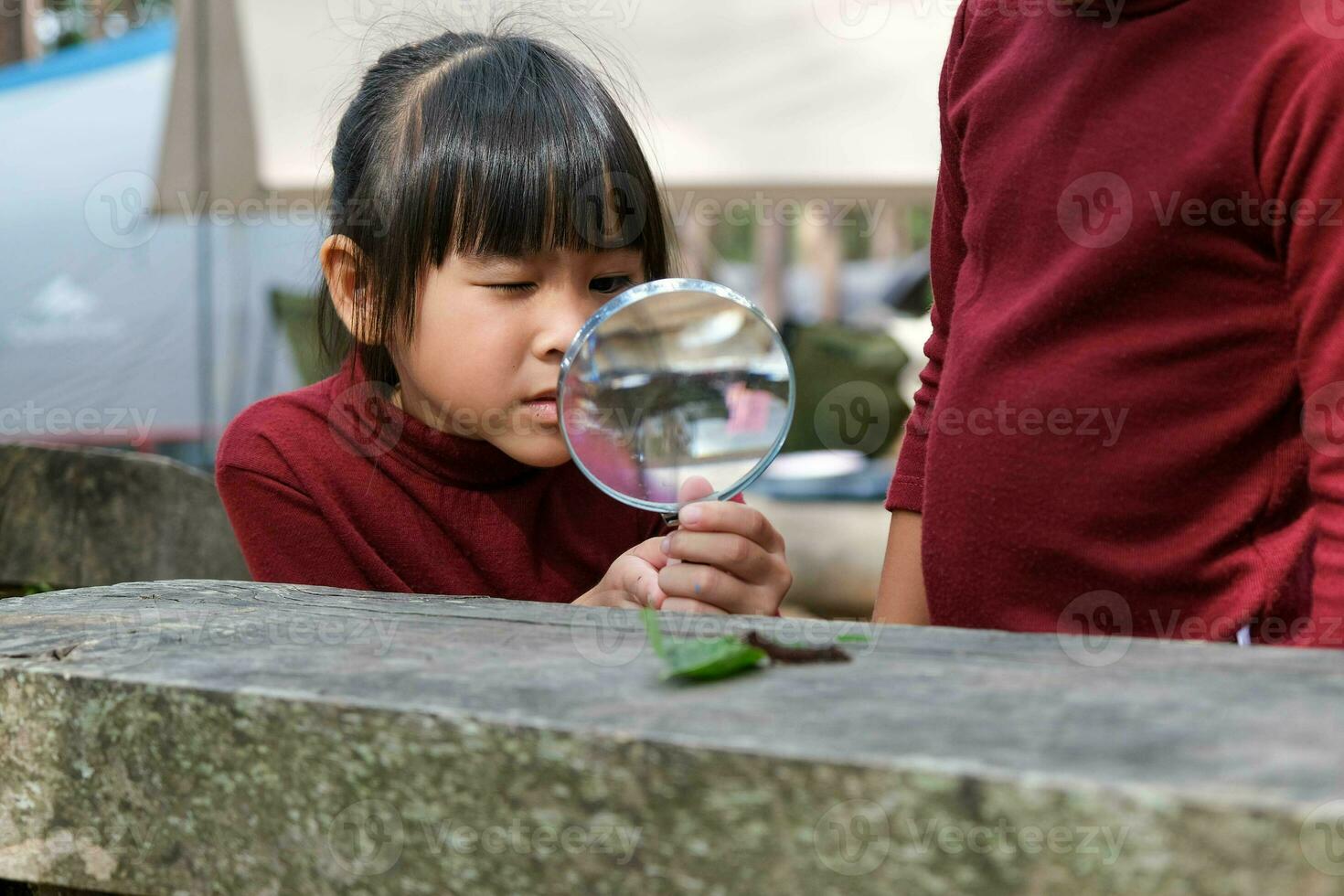 Two cute sisters are exploring and using a magnifying glass to observe wild caterpillars moving on planks. Cute Asian girl watching and learning caterpillars with magnifying glass. photo