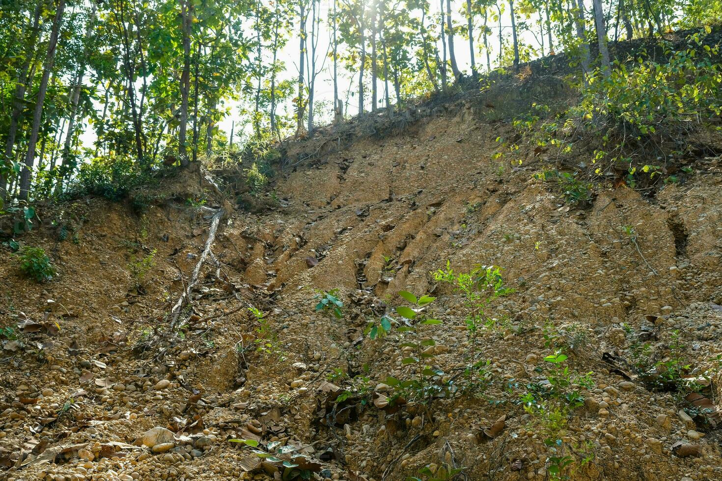 Close up of the cliff stone surface, a natural phenomenon caused by the erosion of the sediment that flows along the watercourse, forming a sedimentary layer with rounded river rocks embedded in it. photo