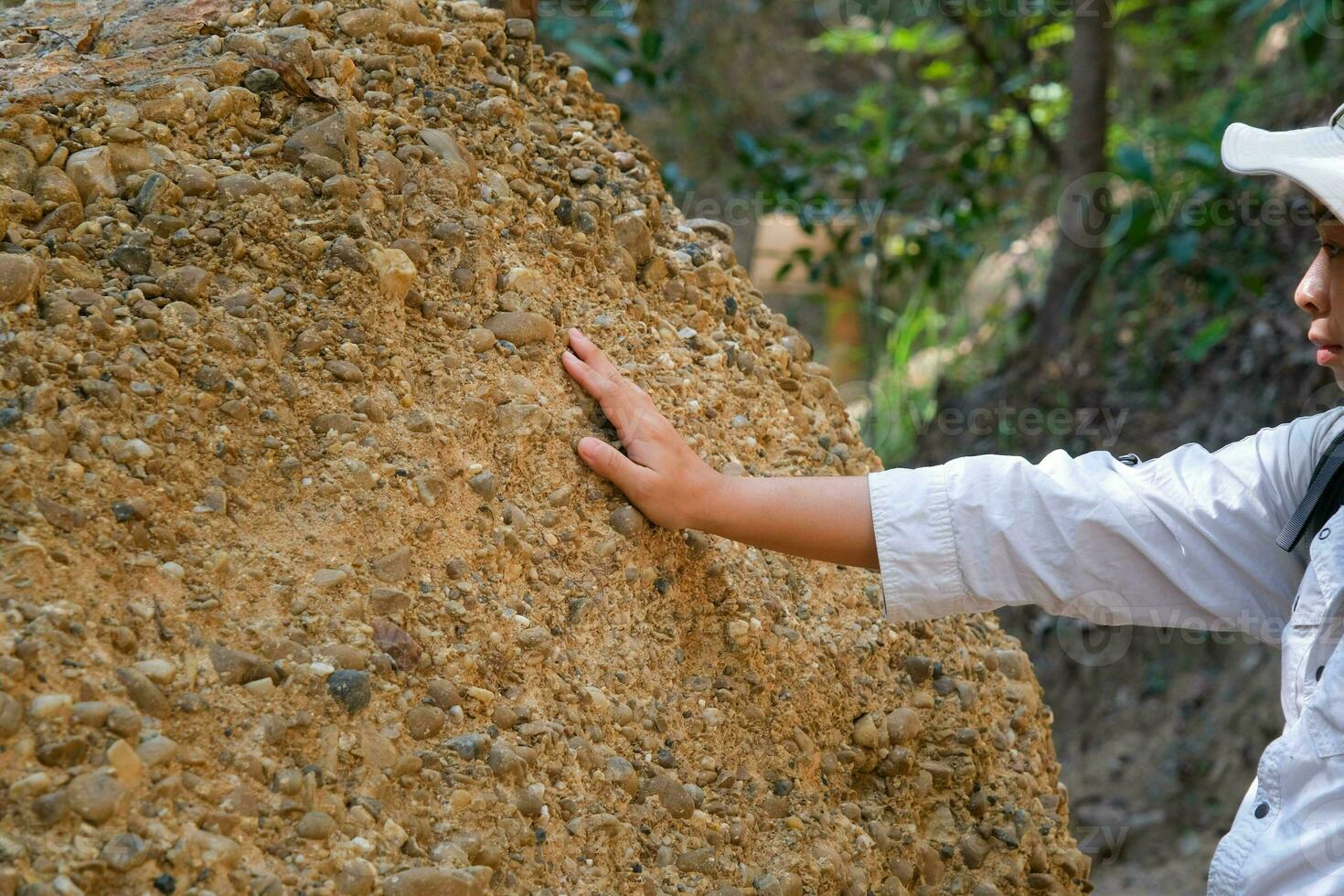 Female geologist with backpack exploring nature trail in forest and analyzing rock or gravel. Researchers collect samples of biological materials. Environmental and ecology research. photo