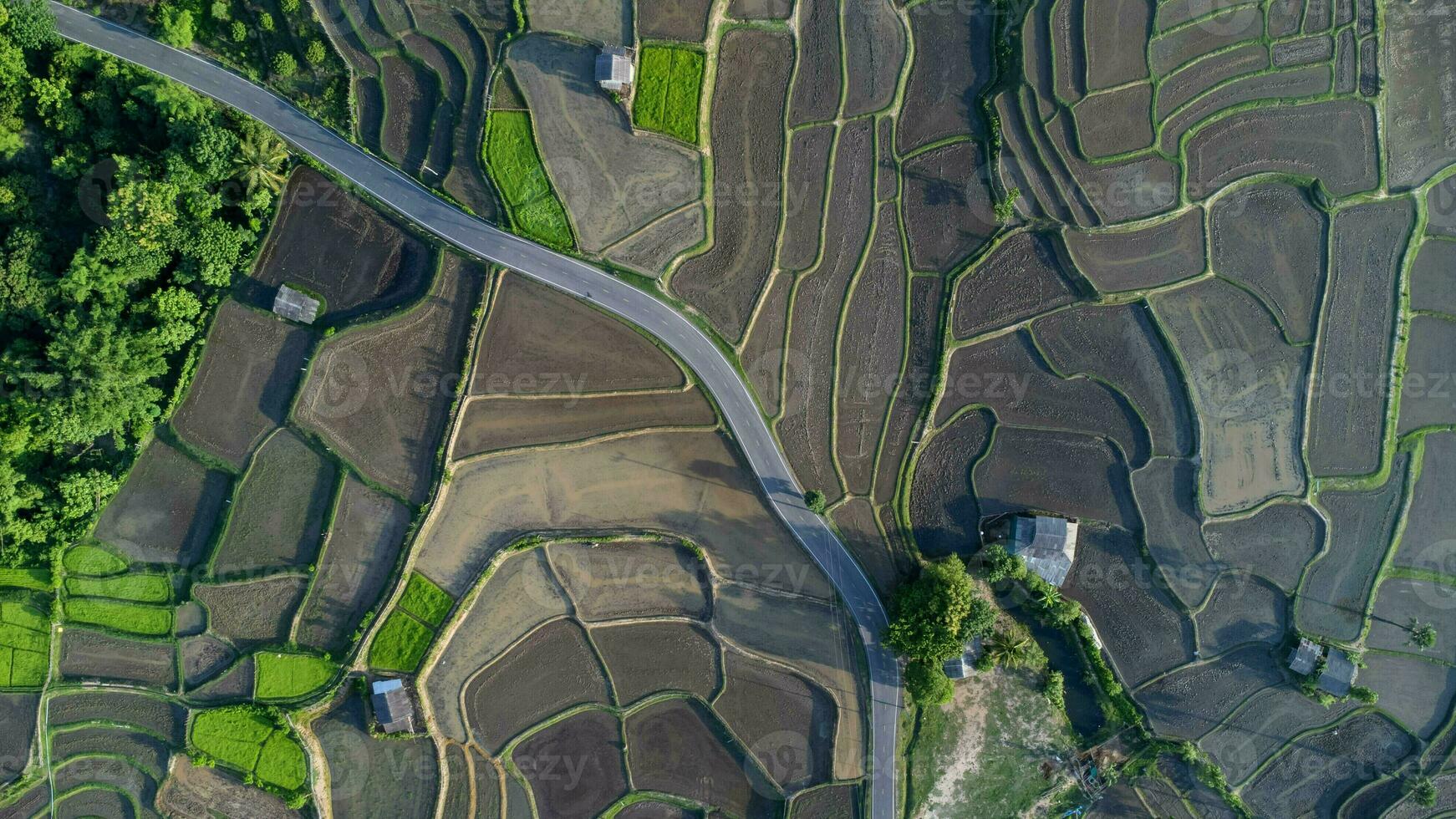 Aerial view of rice terraces in the mountains of northern Thailand. Beautiful scenery of the terraced farming season. photo