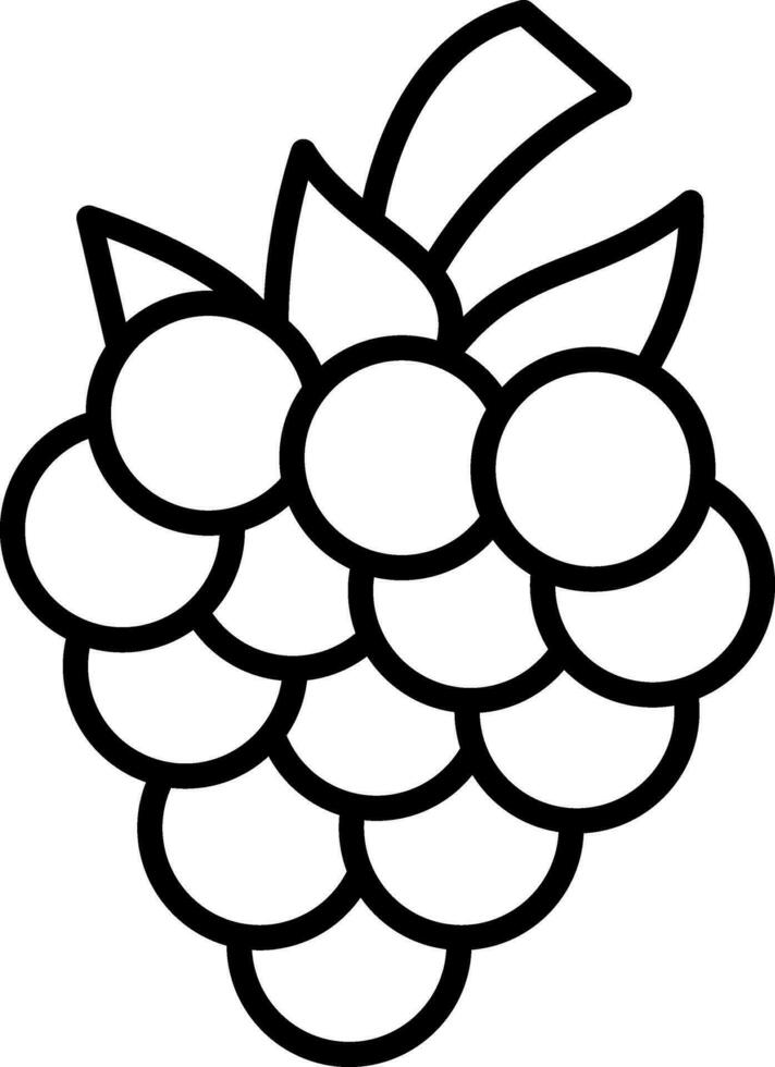 Blackberry Line Icon vector