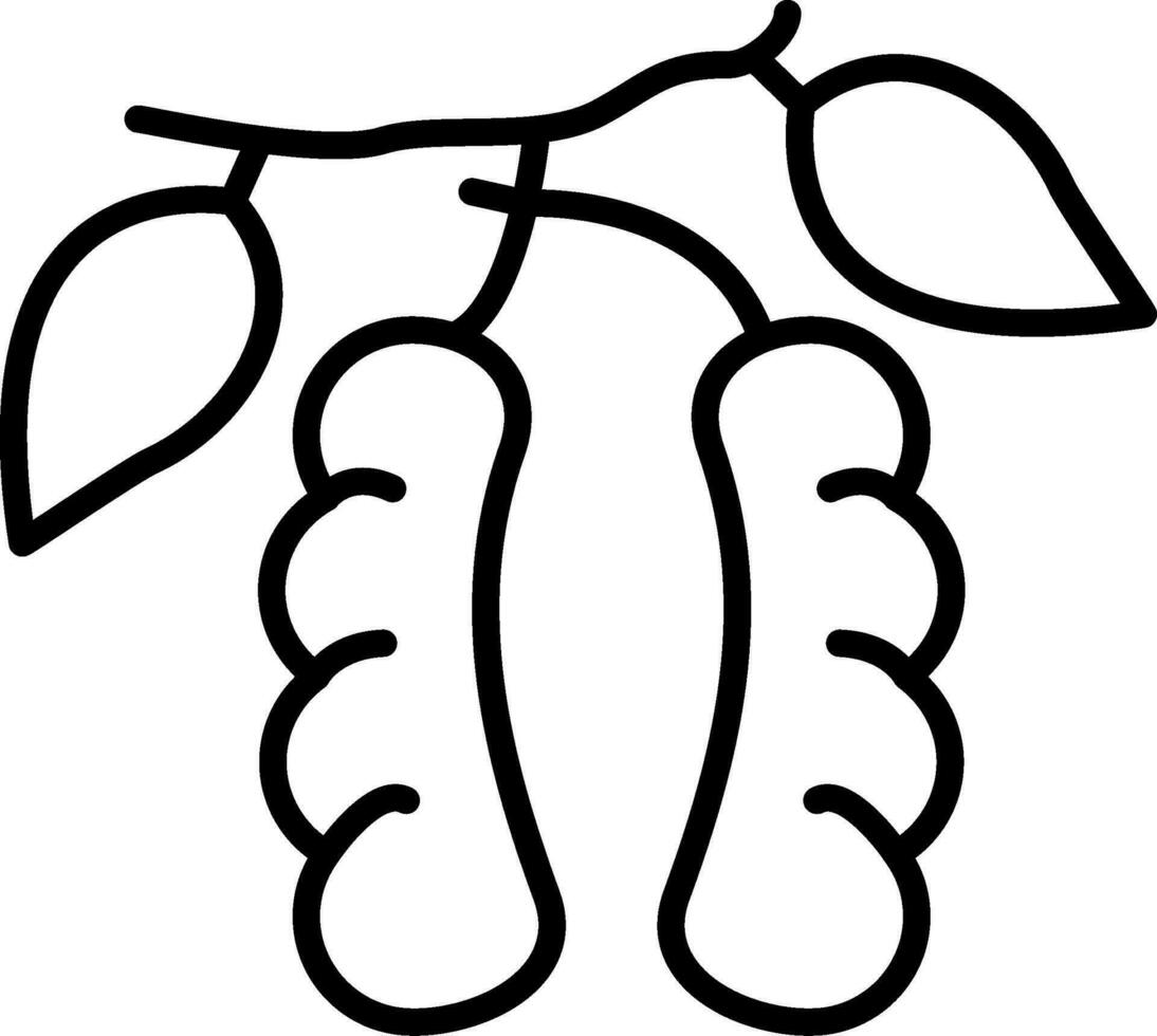 Tamarind Line Icon vector