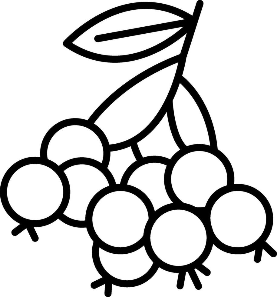 Huckleberry Line Icon vector