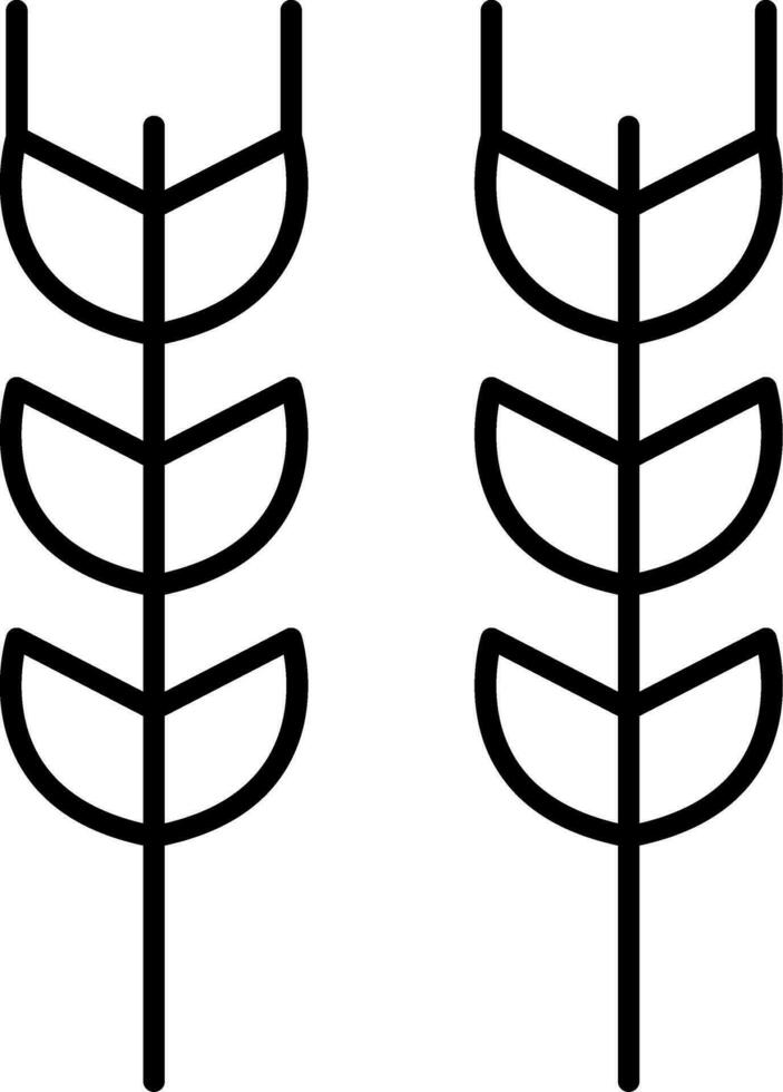 Wheat Line Icon vector