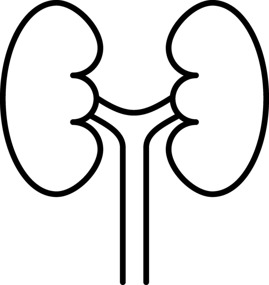 Urology Line Icon vector