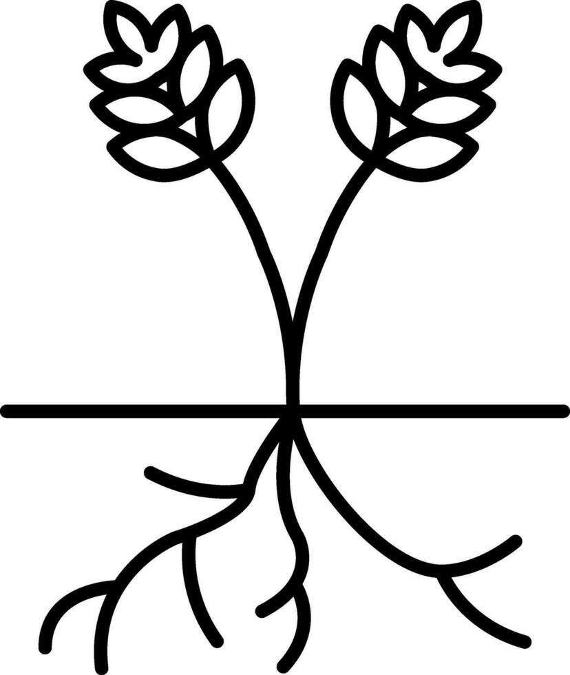Root Line Icon vector