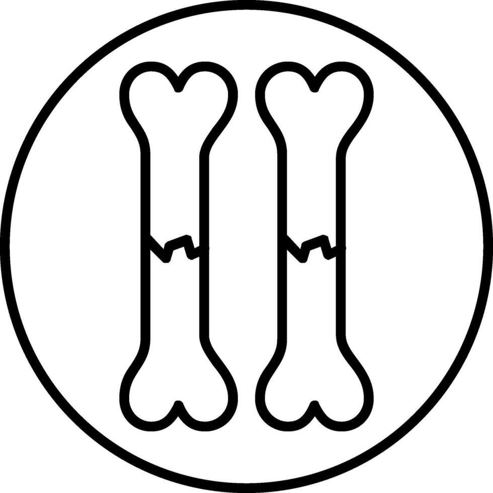 Bone Line Icon vector