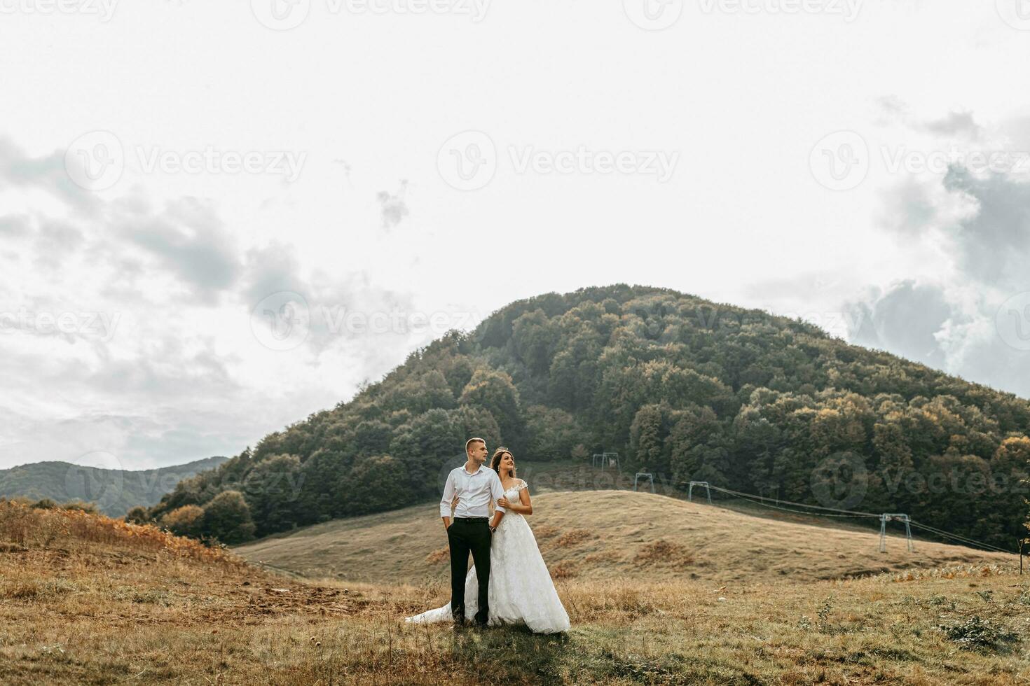 Wedding couple on the background of a large mountain covered with trees, walking in the mountains. Photo of a wide plan. Free space. Bride's dress.