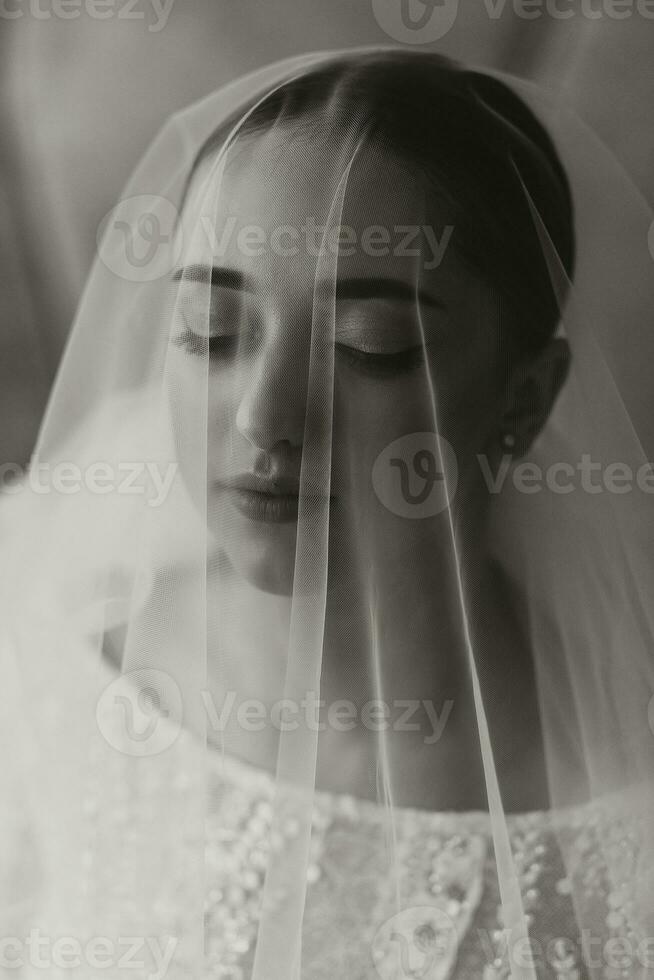 artistic portrait of a beautiful bride with wedding hairstyle and makeup under a veil. Black and white photo
