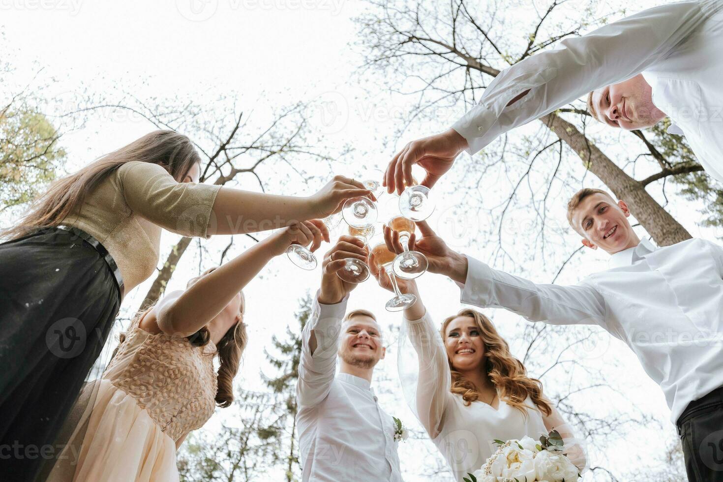 The bride and groom and their friends pose against the background of the forest. A large group of people are having fun at their friends' wedding. They drink champagne from glasses photo