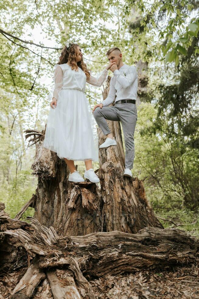 Wedding walk in the forest. The groom holds the bride's hand and they stand on a large tree stump. Vertical photo