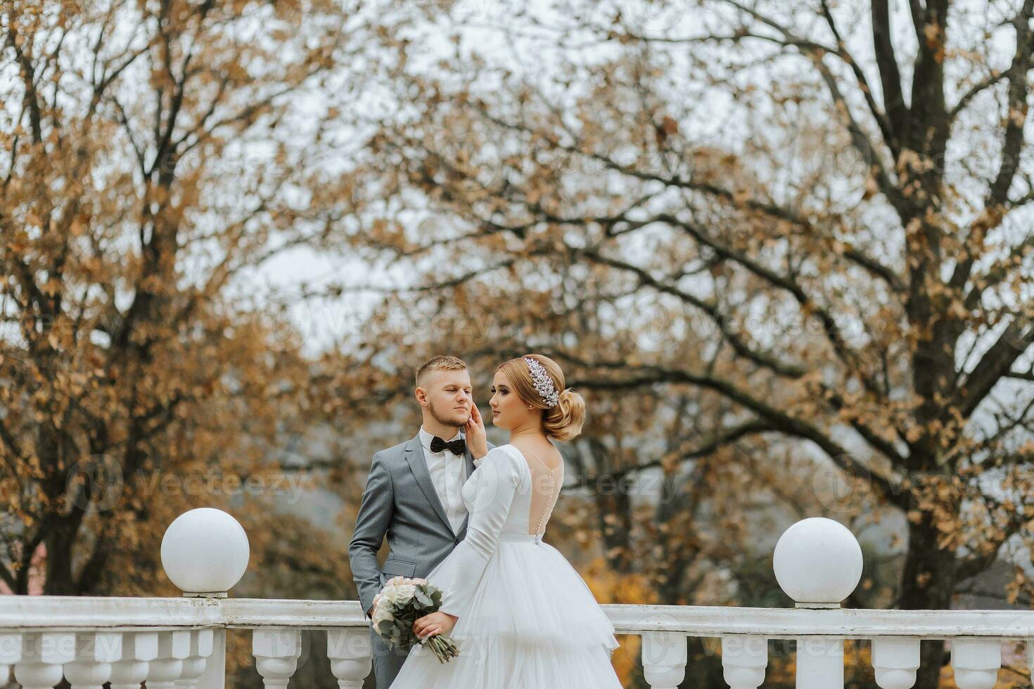 oferta Mira de el novio en su esposa en un lujoso jardín foto