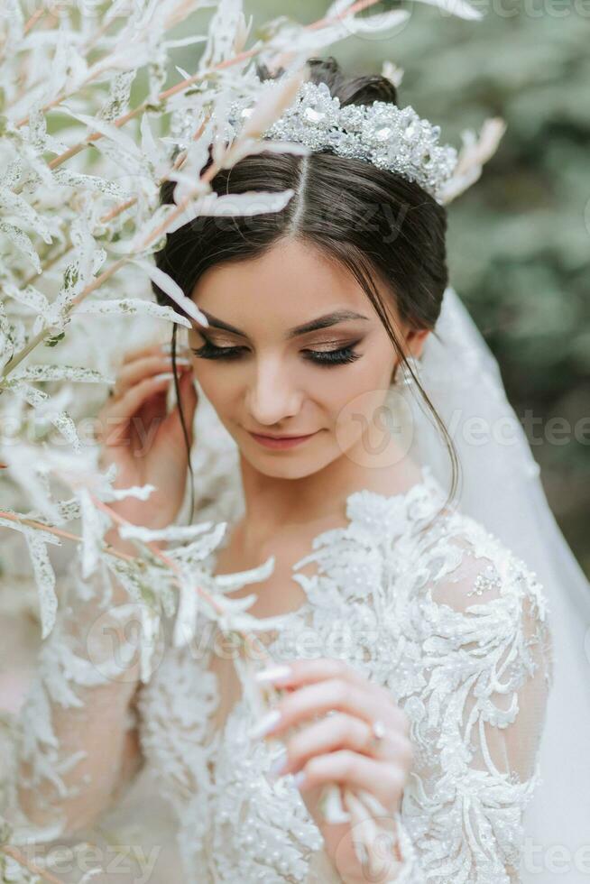 a bride of Caucasian appearance in a beautiful white dress with sleeves and a crown on her head photo