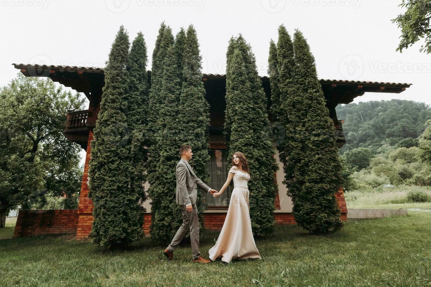 novio y novia en el parque en naturaleza, verde thuja arboles en el antecedentes. beso. foto retrato. Boda Pareja