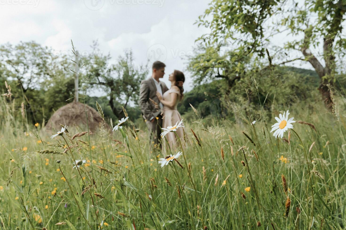 a couple in wedding clothes with a bouquet of flowers and greenery in their hands on the background of a field with daisies photo