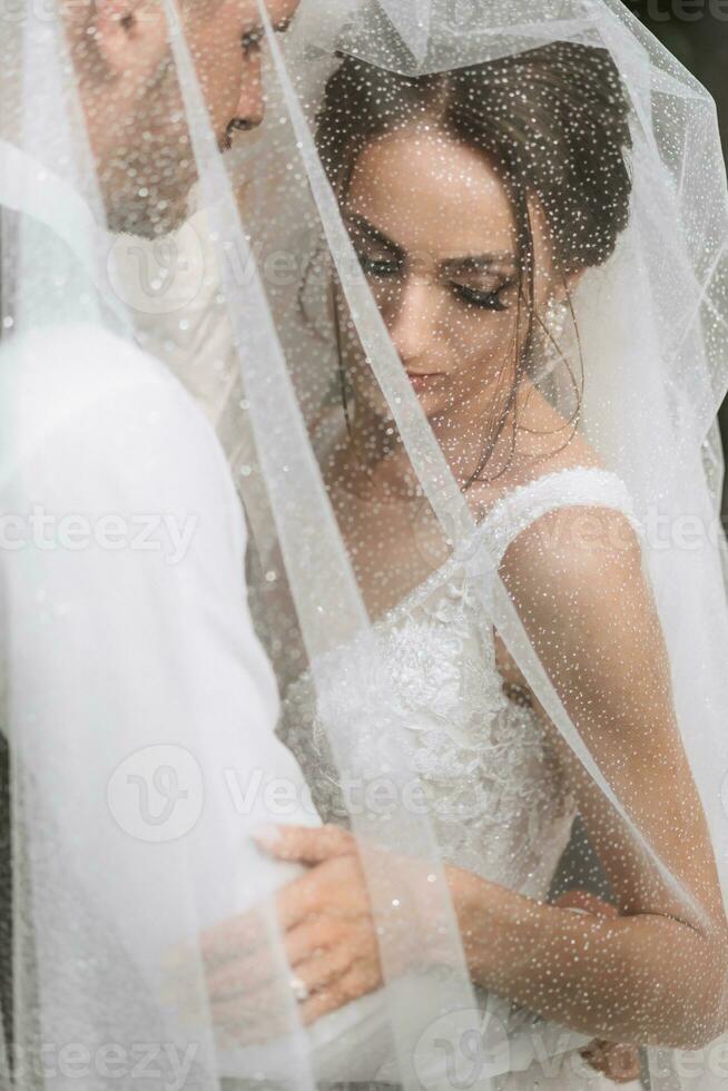 wedding couple on nature. bride and groom hugging under the veil at wedding. photo