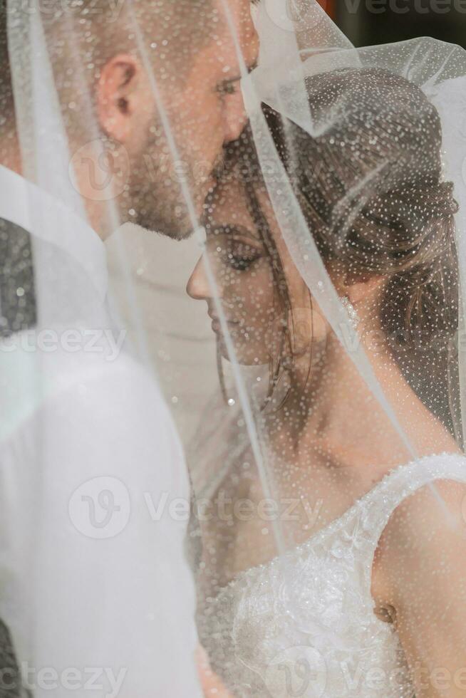 wedding couple on nature. bride and groom hugging under the veil at wedding. photo