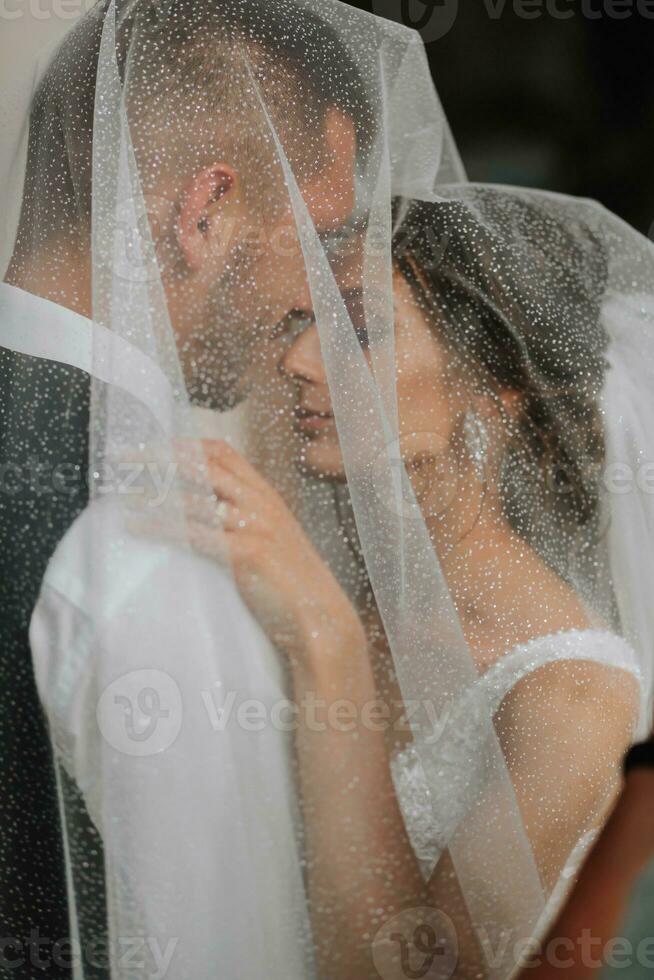 wedding couple on nature. bride and groom hugging under the veil at wedding. photo