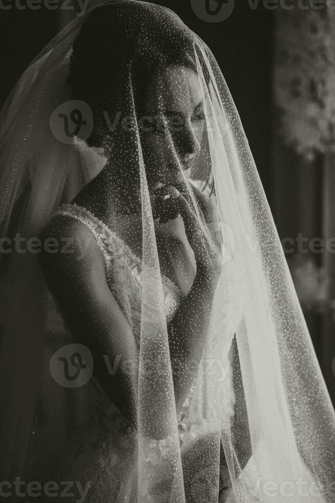 A brunette girl is preparing for the wedding. Portrait photo of the bride in a wedding dress with an elegant hairstyle and luxurious makeup, photo of the bride under the veil