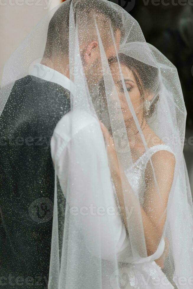 wedding couple on nature. bride and groom hugging under the veil at wedding. photo