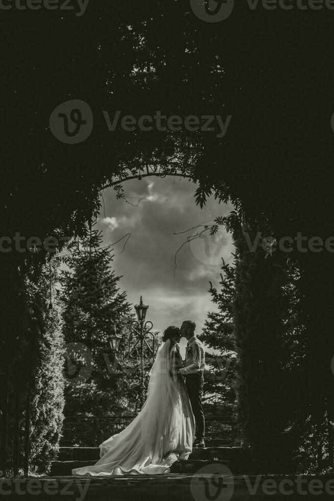 Portrait of the bride in nature. Silhouette black and white photo. A brunette bride in a white dress and a stylish groom in a black suit are standing at the door. Beautiful hair and makeup. photo