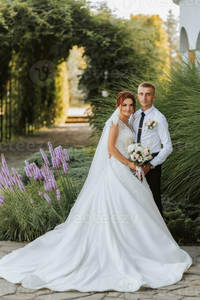 Portrait of the bride and groom in the park, the bride and groom are posing near lavender flowers. Wedding walk in the park. Long train of the dress photo