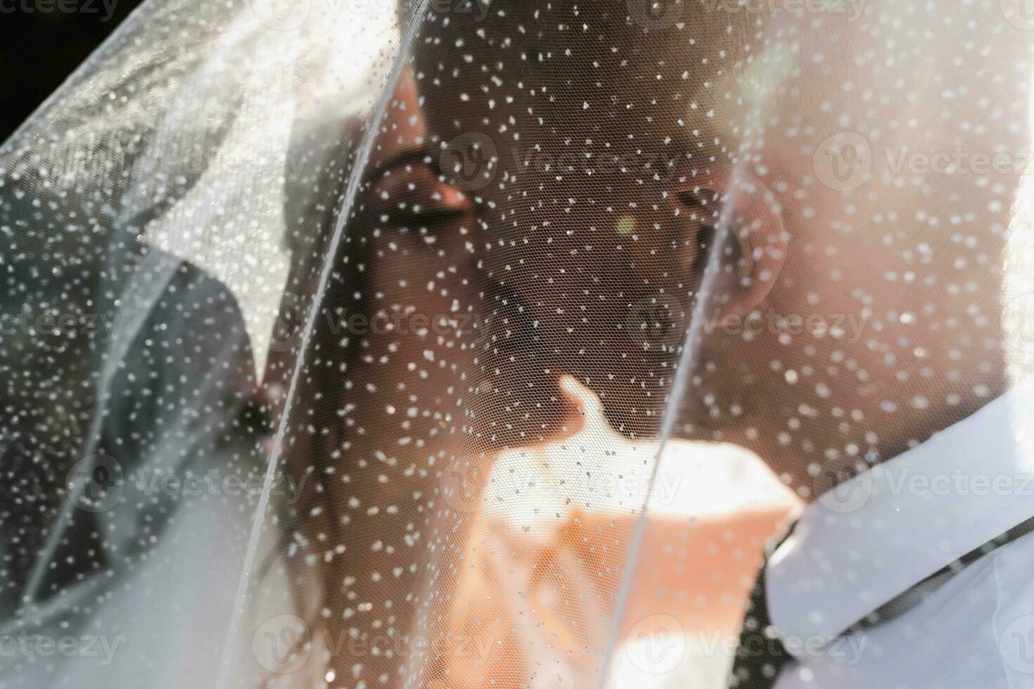 Boda retrato. el novia y novio cubierto sí mismos con un velo, abrazado y besado tiernamente fiesta concepto. transparente velo. rayos de el Dom. foto