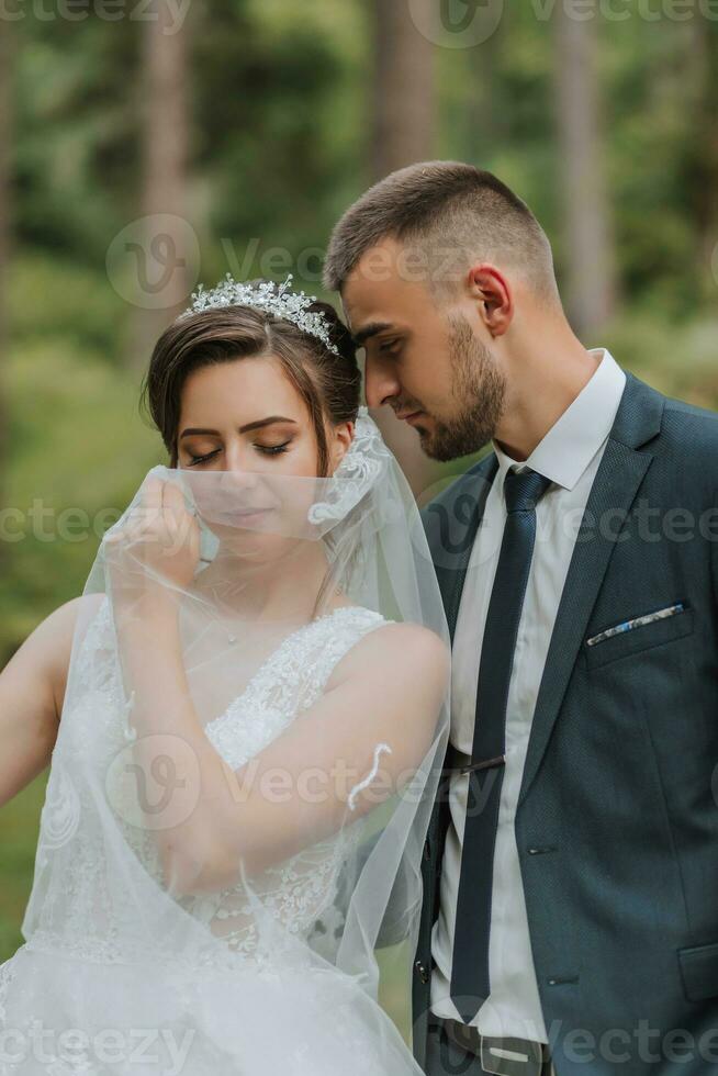 A wedding couple is enjoying the best day of their lives against the backdrop of tall trees. Portrait of brides in love in nature photo