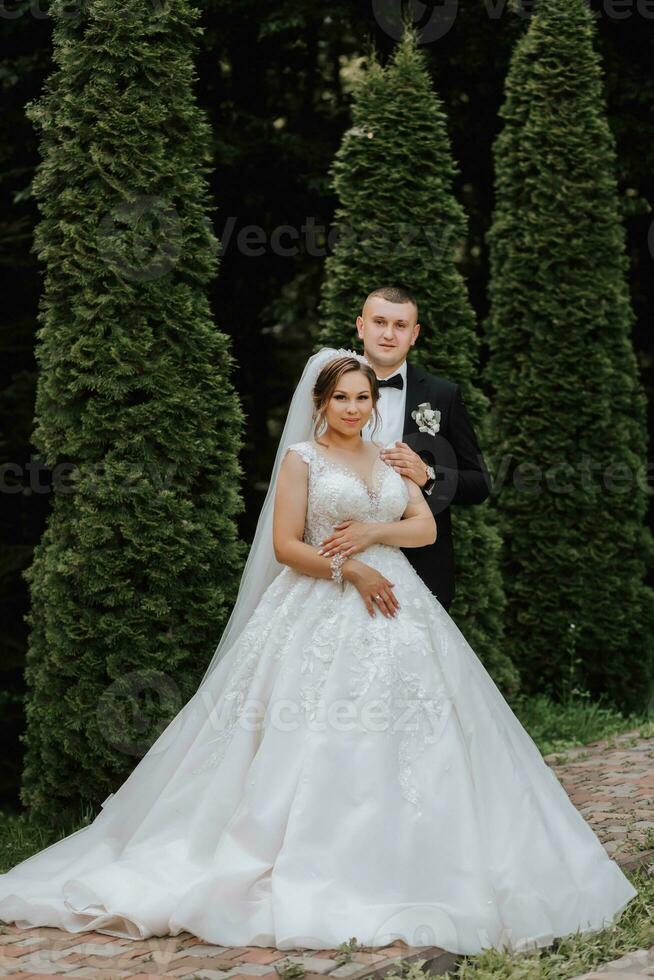 Wedding portrait. The groom kisses the bride. The bride in an elegant dress, the groom in a classic suit against the background of green trees. Gentle touch. Summer wedding. A walk in nature photo