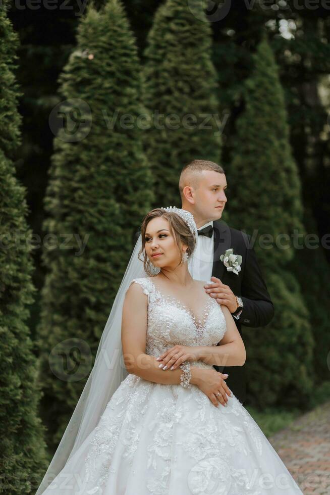 Wedding portrait. The groom kisses the bride. The bride in an elegant dress, the groom in a classic suit against the background of green trees. Gentle touch. Summer wedding. A walk in nature photo