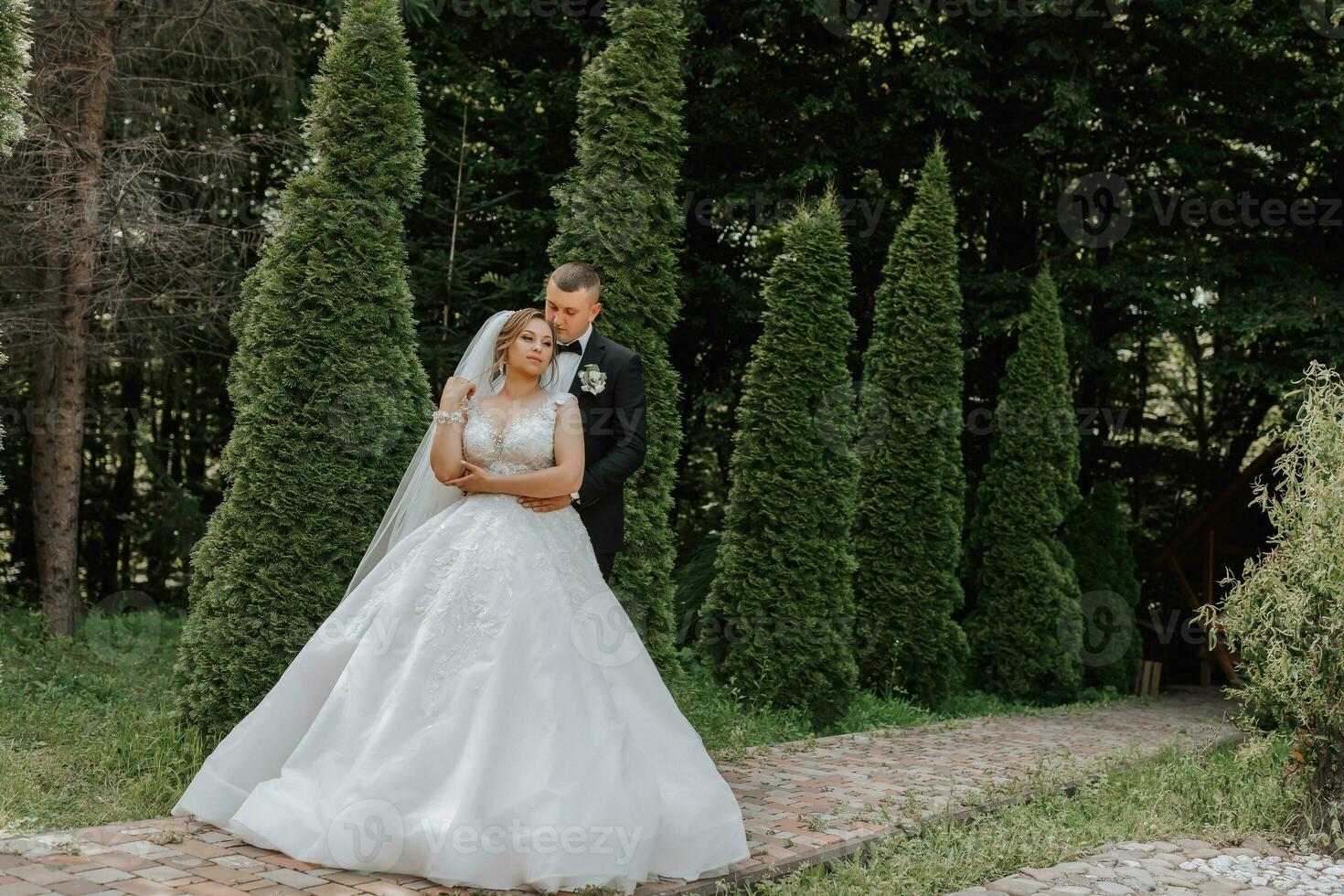 Boda retrato. el novia en un elegante vestir soportes en frente de el novio en un clásico traje, en contra el antecedentes de verde arboles amable tocar. verano boda. un caminar en naturaleza foto